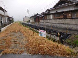 丈夫で安全、視認性抜群のトラ杭『モリトラ』