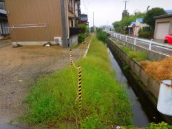 丈夫で安全、視認性抜群のトラ杭『モリトラ』